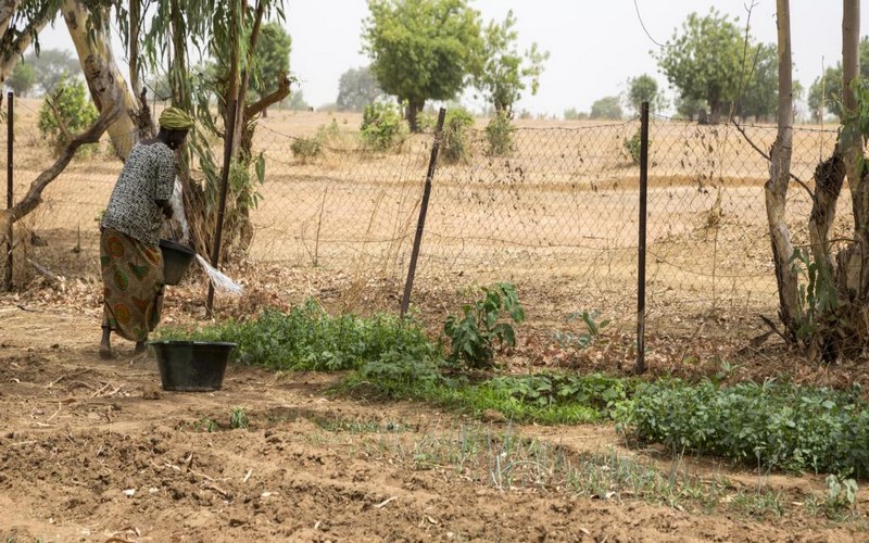 Afrique : une caravane contre l’accaparement des terres et les semences OGM