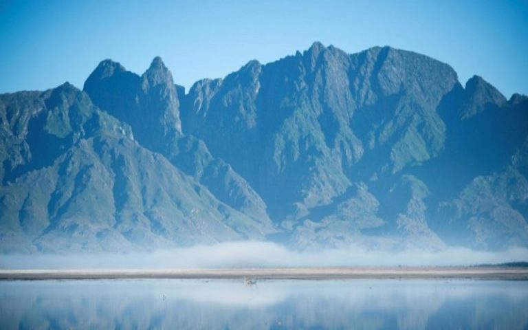 Disponibilité de l’eau : Le Cap mise sur le déracinement des arbres non indigènes