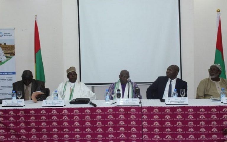 Développement de l’agriculture irriguée : PARIIS, le pari des pays du Sahel