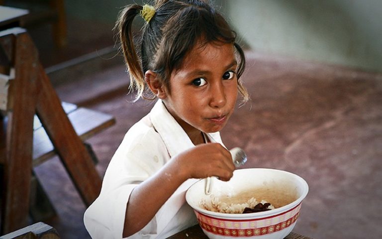 Elimination de la faim : trois textes sur la sécurité alimentaire et les végétaux adoptés