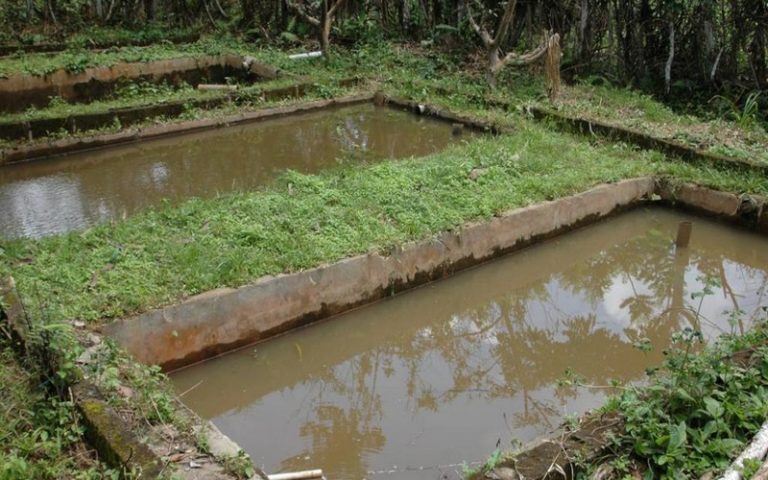 Gestion de l’eau en Afrique : les chercheurs interpellent les politiques