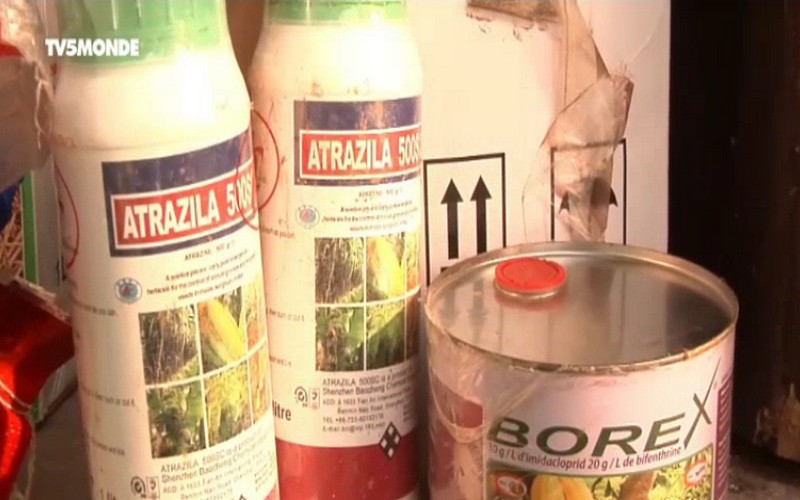 La Côte d’ivoire en guerre contre les pesticides obsolètes