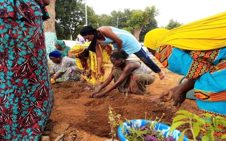 La FAO s’inspire des expériences à succès du Sénégal dans la lutte contre la pauvreté