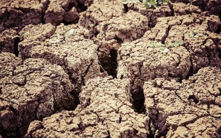 La moitié des nappes phréatiques sont insuffisantes pour la saison