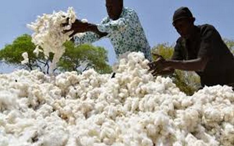 Le Burkina Faso se dote d’une usine de promotion de vêtements issus du coton