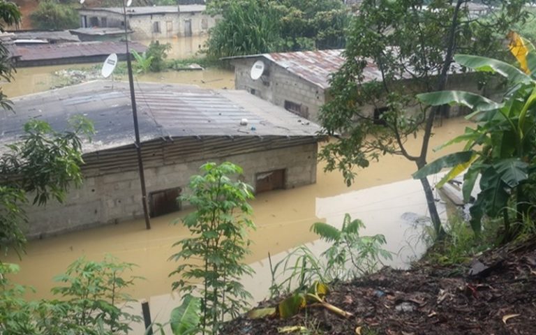 Le Gabon accueille la 3ème conférence interministérielle sur la santé et l’environnement