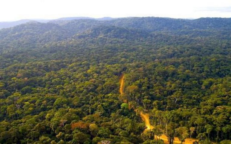 Le Gabon à la rescousse du climat