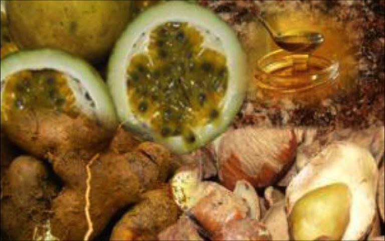 Les PFNL, une arme contre l’insécurité alimentaire Afrique Centrale