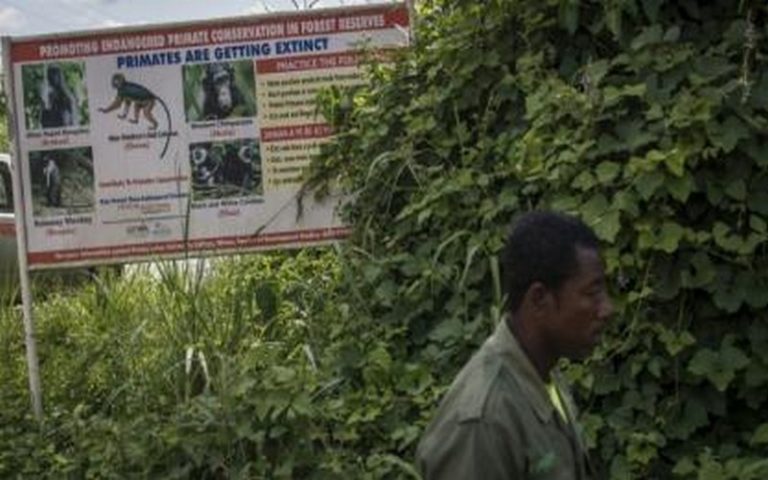 Les projets chinois d’exploitation de bauxite menacent la forêt Atewa au Ghana