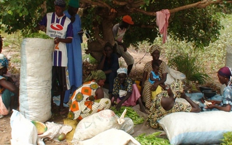 L’avenir des exploitations agricoles familiales d’Afrique analysé au Sénégal