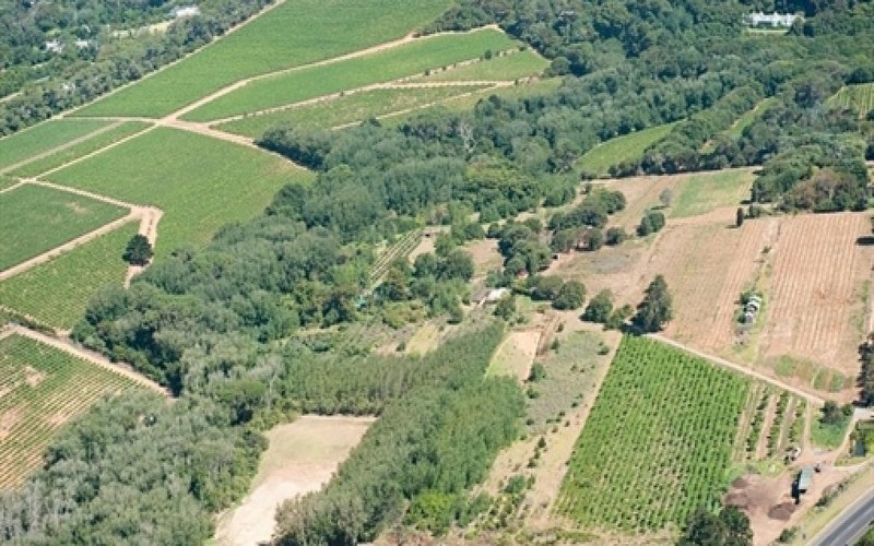 Réforme agraire : le parlement sud-africain autorise la modification de la Constitution