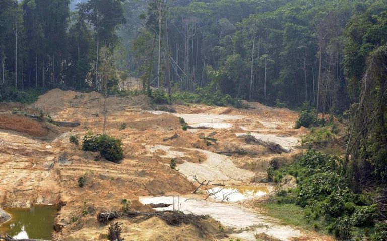 Chaque français entraîne 350 m2 de déforestation, selon l’ONG Envol Vert