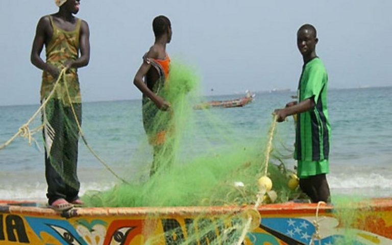 « Initiatives côtières de la pêche » de la FAO pour une pêche durable en Afrique de l’Ouest