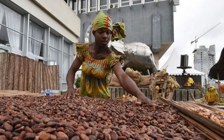 Cacao : vers la mise en place d’un « prix plancher » entre la Côte d’Ivoire et le Ghana
