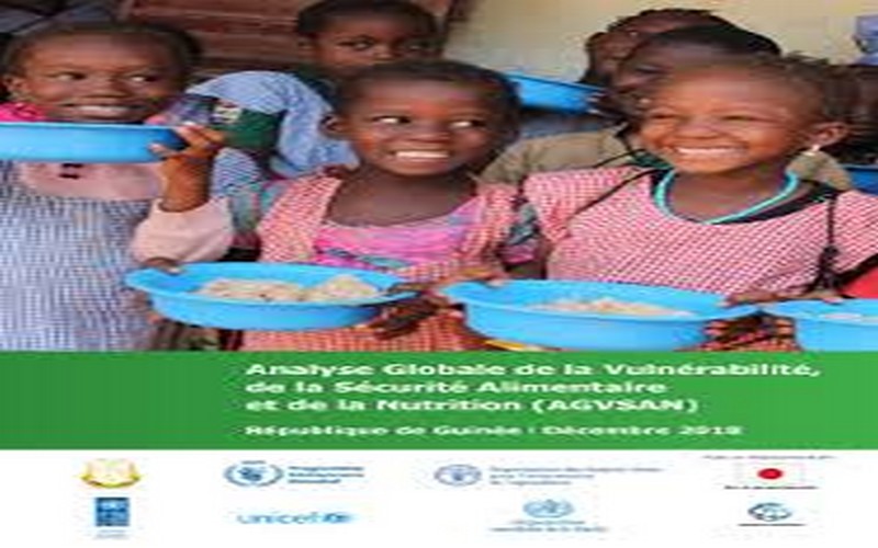 Guinée : l’AGVSAN de décembre 2018 publiée