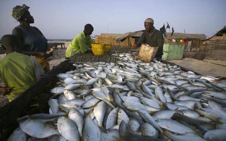 La Mauritanie et le Sénégal se dotent d’un accord de pêche