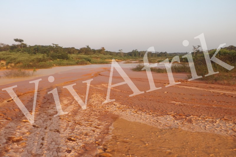 Cameroun : Normes environnementales dans le secteur minier