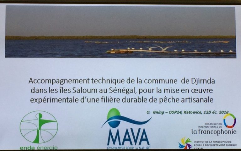 La promotion de la pêche artisanale durable en zone insulaire débattue en Pologne