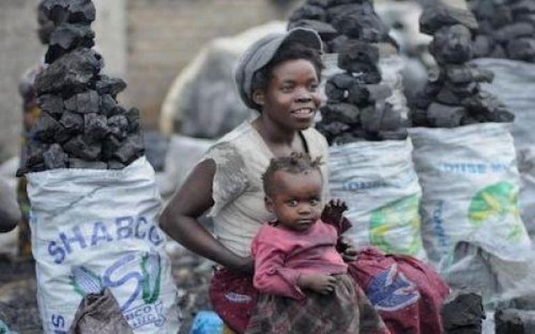 Le charbon de bois, un combustible de choix pour les ménages démunis en Afrique