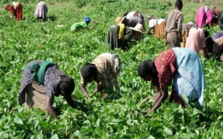 Les travaux préparatoires du SIAPRAG 2019 lancés en Guinées