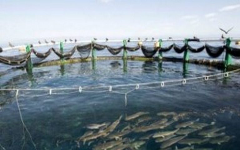 L’Algérie submergée par les eaux usées industrielles rejetées