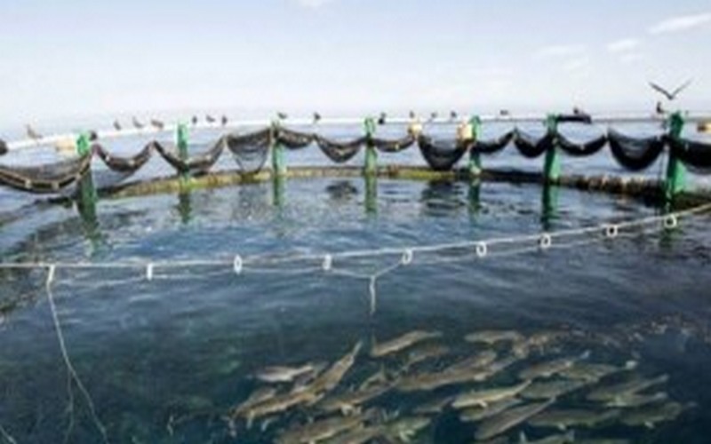 L’Algérie submergée par les eaux usées industrielles rejetées