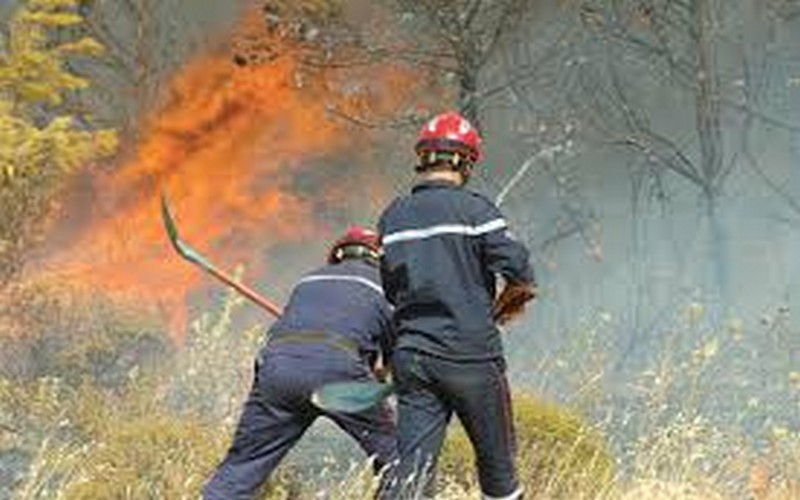 Plus de 2 300 hectares ravagés en 2018 en Algérie à cause des feux de forêts