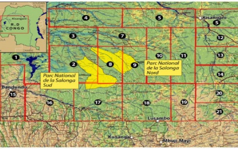 RDC : une grande partie du parc des bonobos ouverte aux pétroliers