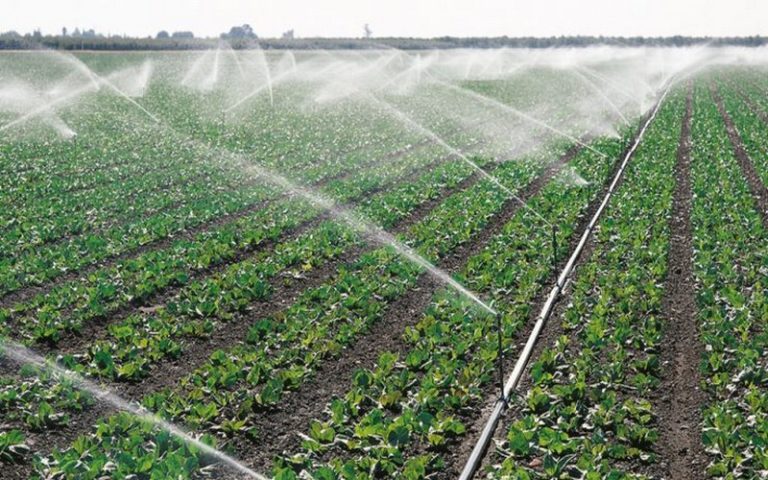 Un rapport mise sur l’expansion de l’irrigation pour booster la production agricole en Afrique