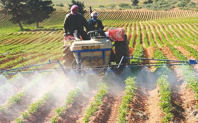 Burkina Faso : les objectifs du programme d’appui-conseil agricole connus