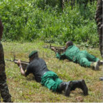 Cameroun: Le parc national de Nki menacé par la montée de la criminalité faunique