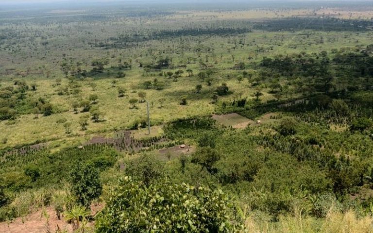 La phase 2 du projet de régénération des paysages bientôt acté au Burundi