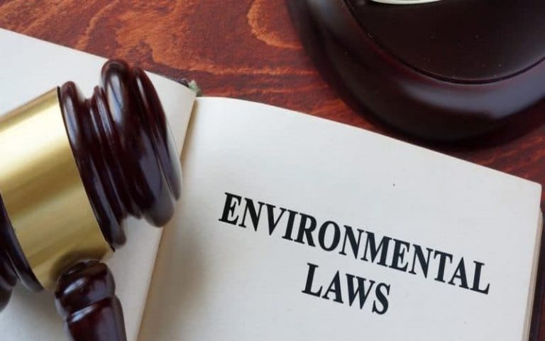Le Cameroun se dote d’un code de l’environnement