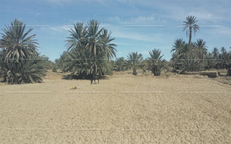 Les nouveaux objectifs du Maroc sur l’environnement