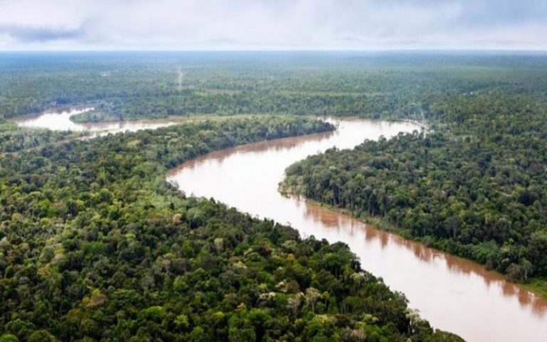 L’Amazonie, une forêt en déperdition