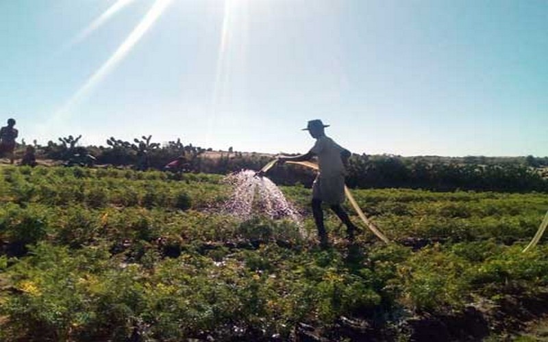 L’Eau en Afrique : Une ressource stratégique, sensible et sous-exploitée
