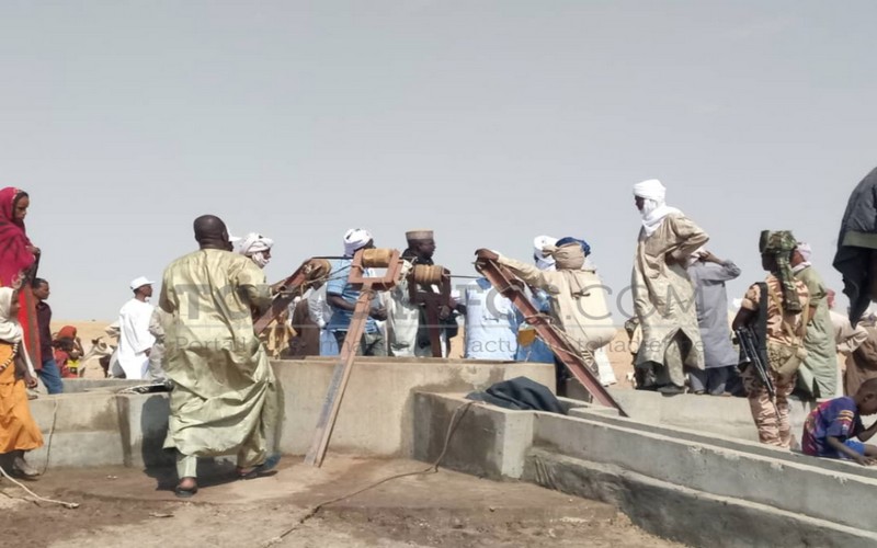 L’élevage tchadien entre exploration de maux et perspectives