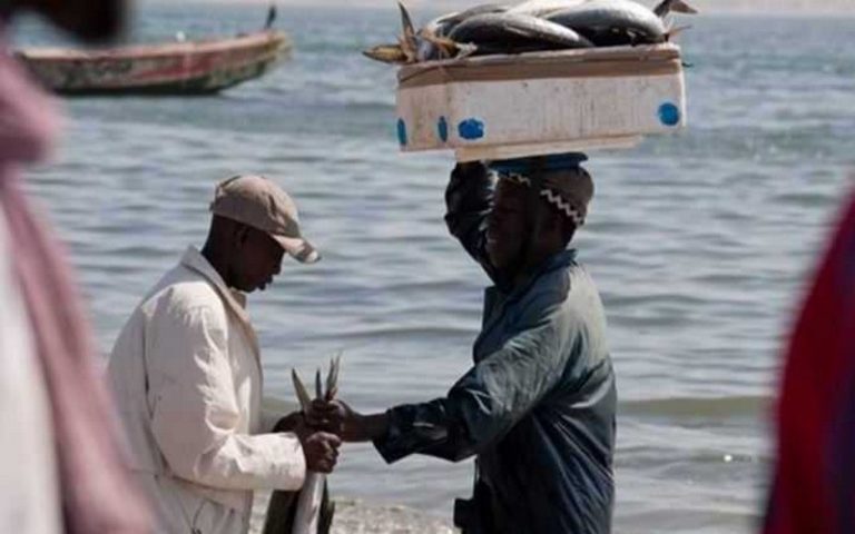 Mauritanie : fin de la 9ème édition du festival du patrimoine de la pêche maritime