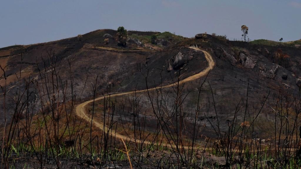 Madagascar: les défenseurs de l&rsquo;environnement interpellent Andry Rajoelina  le nouveau chef de l&rsquo;Etat
