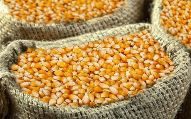 RDC : le paradoxe de l’importation des produits alimentaires