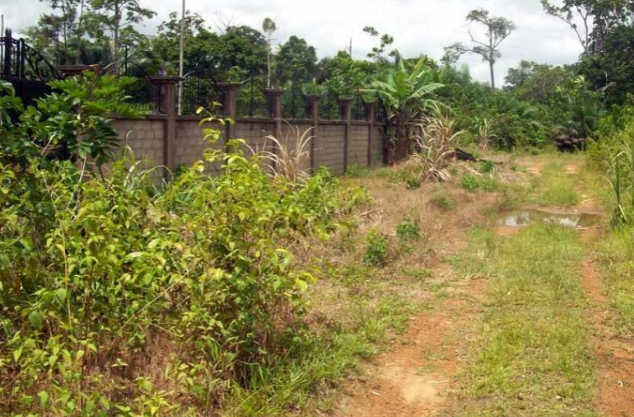 [Enquête] : Afan-Mabé, concentré culturel camerounais