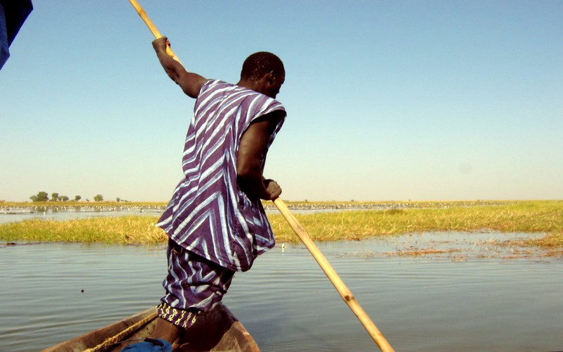 Vers un redressement agricole au Mali