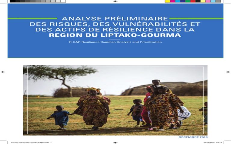 Analyse préliminaire des risques, des vulnérabilités et des actifs de résilience dans la Région du Liptako-Gourma