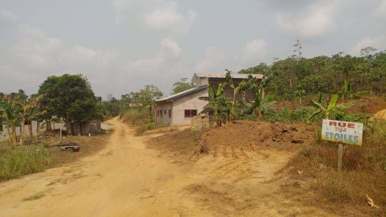 [Enquête] Lendi-Aviation (Cameroun) : Des autochtones floués par un partenaire financier
