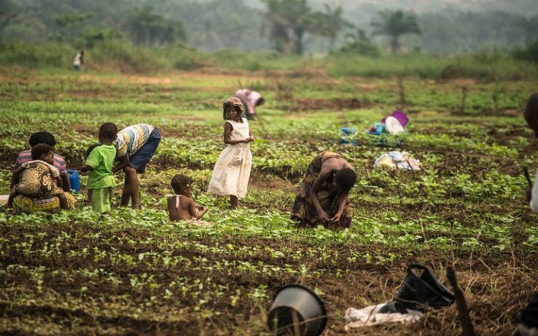 32 millions de personnes en Afrique soutenues par la FAO en 2019