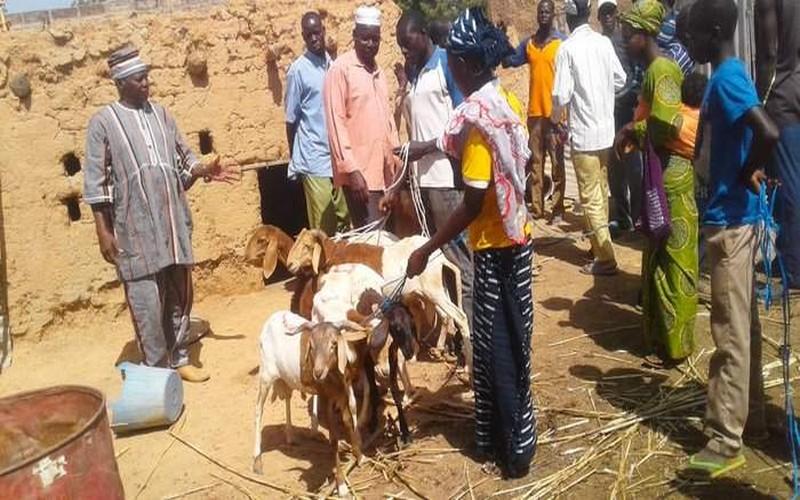Burkina Faso : La BAD s’érige contre la malnutrition et la pauvreté au Sahel