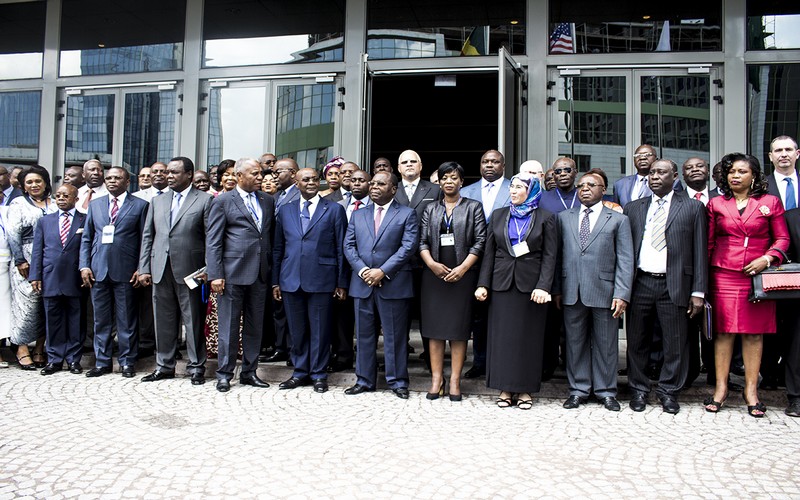 COMIFAC : les résultats du projet JICA présentés au Cameroun