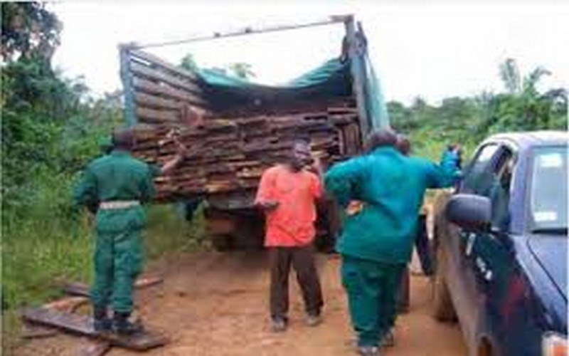 Exploitation forestière : la société civile planifie les actions d’observation indépendante