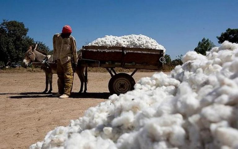 La 2ème édition du Forum international sur le coton organisée au Mali