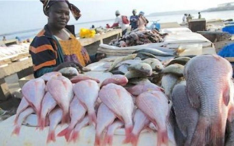 Le développement du secteur halieutique du Gabon repose sur des partenariats